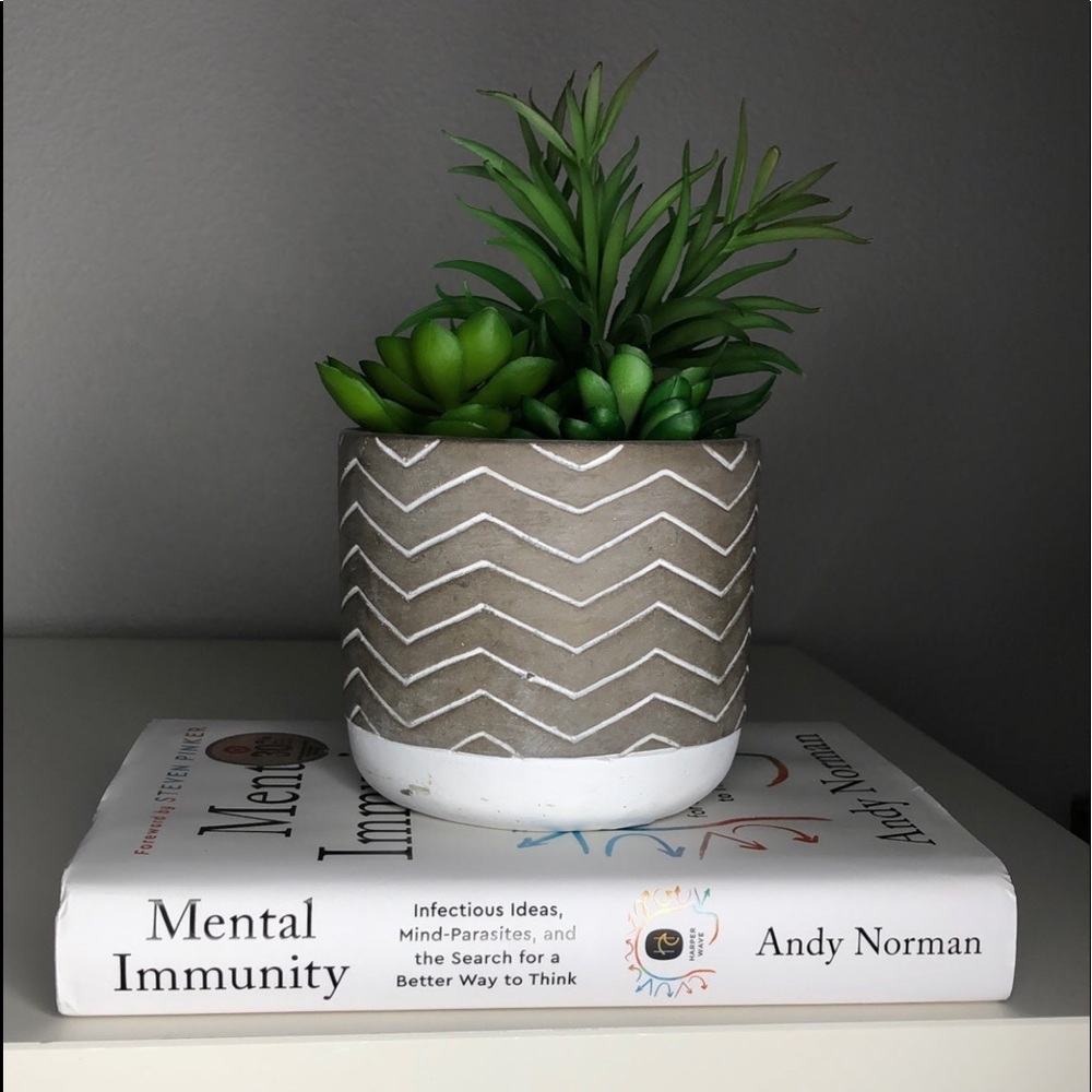 Mental Immunity Book